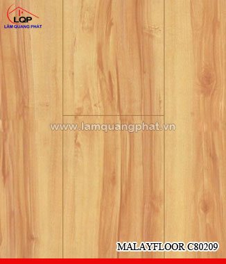 Hình ảnh Sàn gỗ Malayfloor C80209