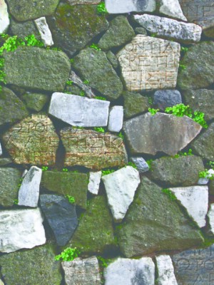 Giấy dán tường Natural 87012-3