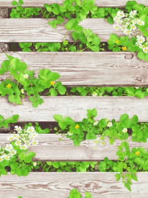 Giấy dán tường Natural 87020-1