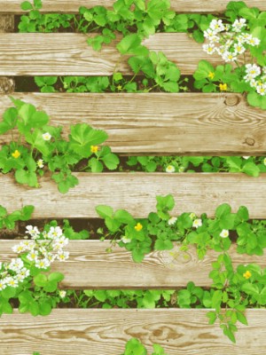 Giấy dán tường Natural 87020-2