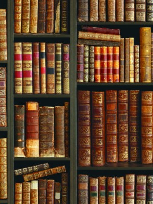 Giấy dán tường Natural 88418-1