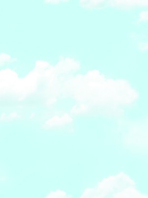 Giấy dán tường Natural 88421-1