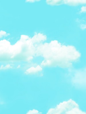 Giấy dán tường Natural 88421-2