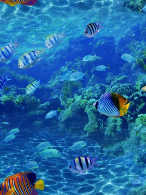 Giấy dán tường Natural 88424-1