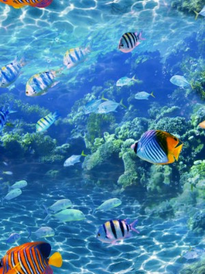 Giấy dán tường Natural 88424-2