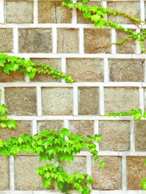 Giấy dán tường Natural 88428-1