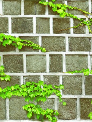 Giấy dán tường Natural 88428-2