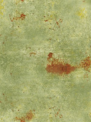 Giấy dán tường Natural 88431-3