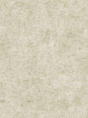 Giấy dán tường Natural 88433-3