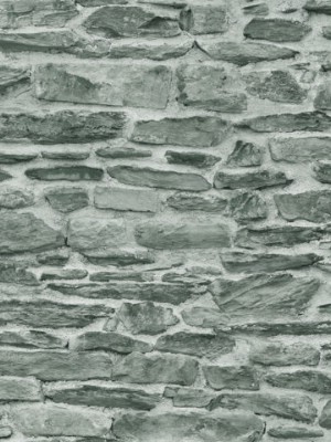 Giấy dán tường Natural 88434-2