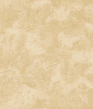 Giấy dán tường Neptune 13011-2