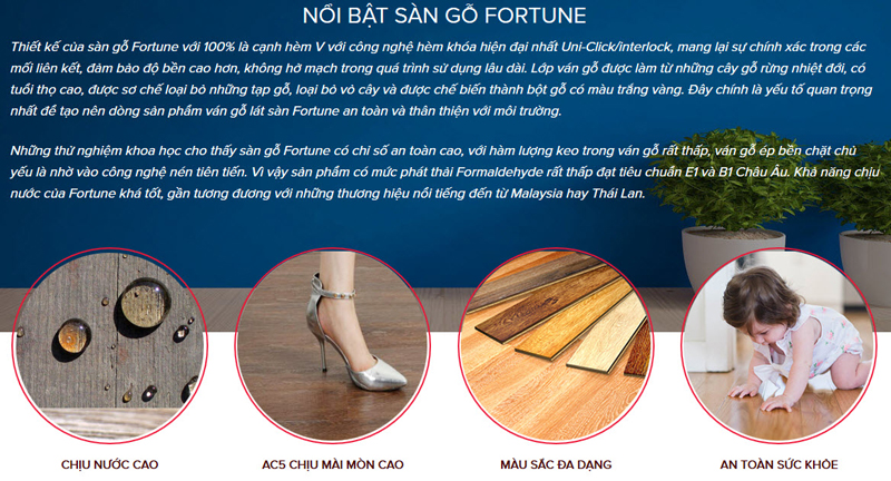 Lâm Quang Phát - Sàn gỗ Fortune Malaysia chính hãng