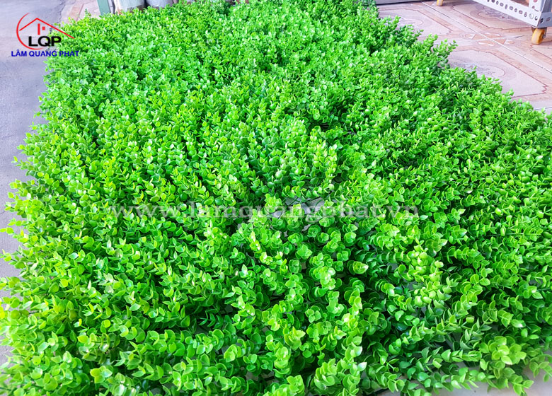 co nhua trang tri gia re