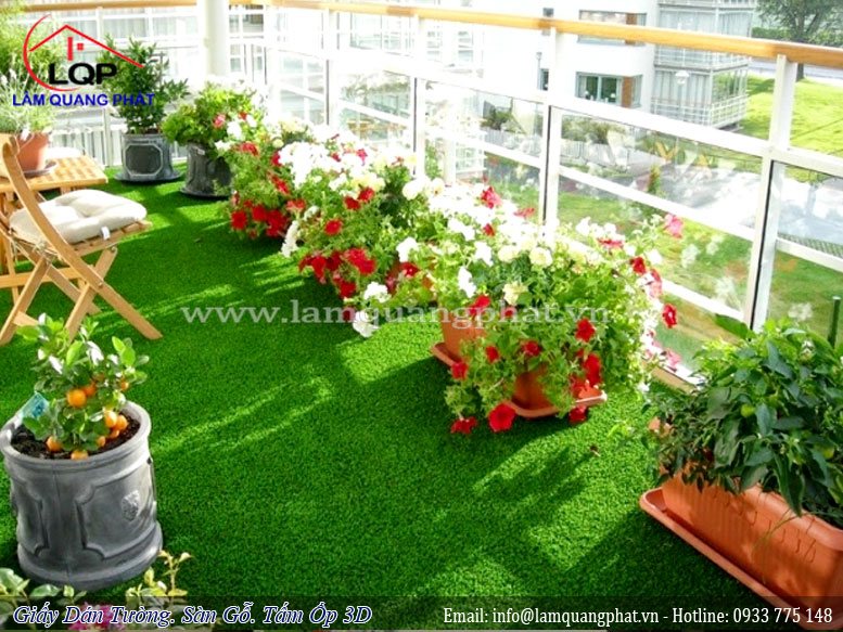 cỏ trang trí nhà