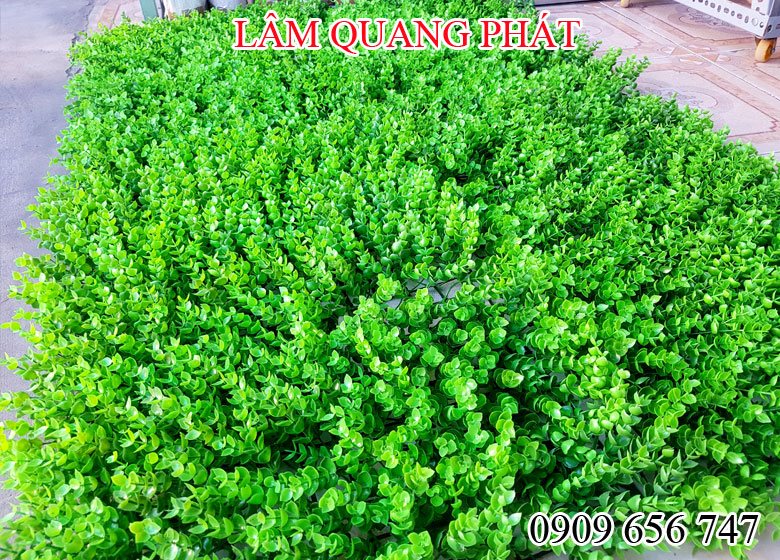 co nhua treo tuong noi that