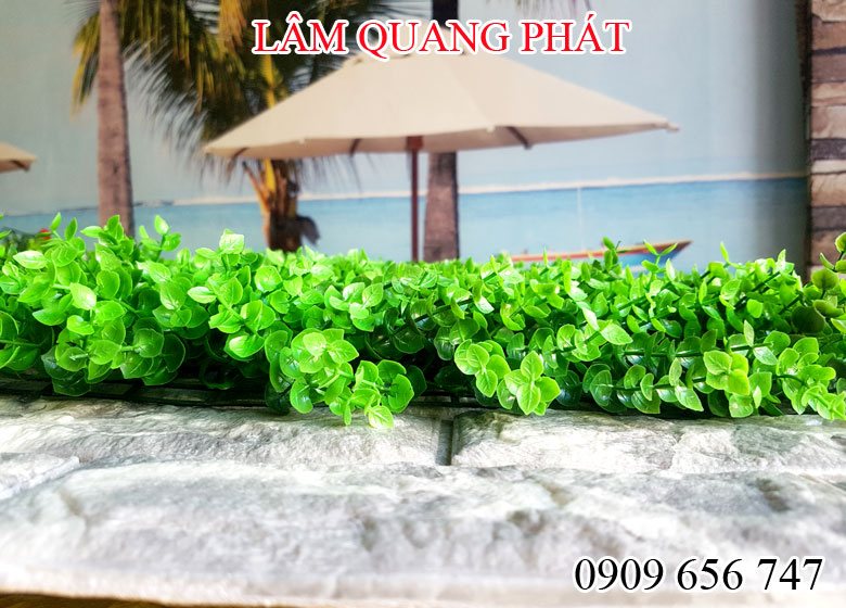 gia co nhua treo tuong