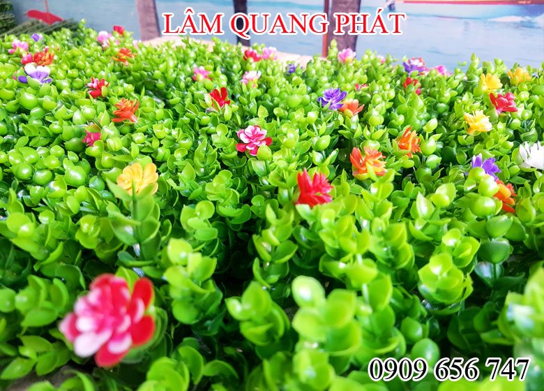 dai ly ban co nhua treo tuong