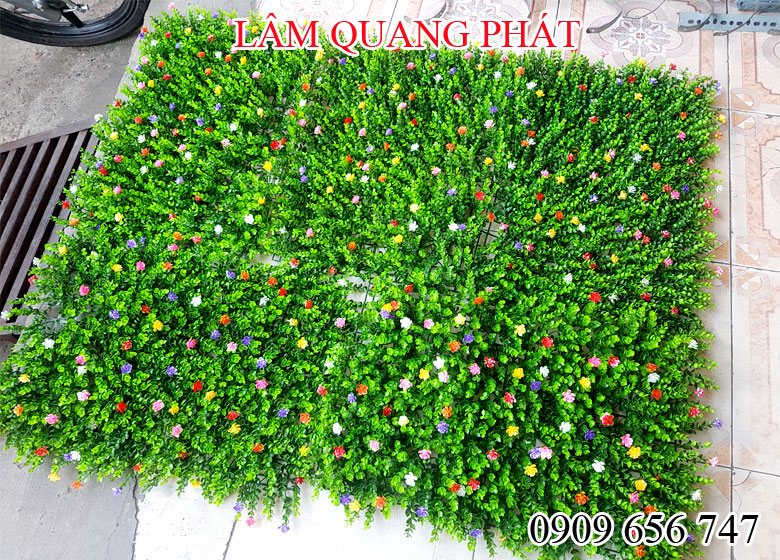 co nhua treo tuong dep, gia re