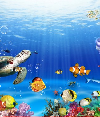 Hình ảnh Tranh 3D con cá HUMANDECOR-3815